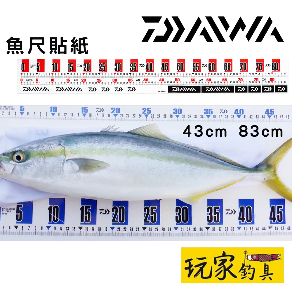 ｜玩家釣具｜DAIWA 量尺貼紙 魚尺貼紙 43CM 83CM 冰箱 魚尺 CP MEASURE STICKER