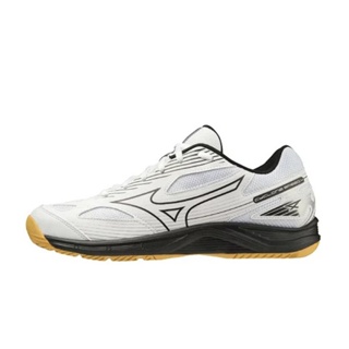 Mizuno Cyclone Speed 4 男女 排球鞋 基本款 運動 訓練 輕量 白 黑 [V1GA238054]