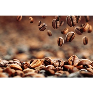 黃金曼巴咖啡豆，（250克）