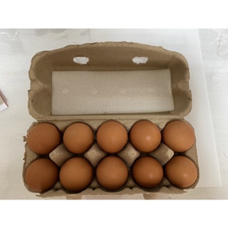 農會直送紅殼雞蛋10顆