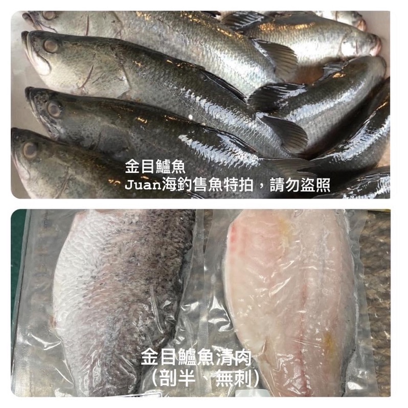 無刺金目鱸魚片（剖半，大片）