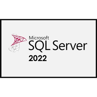 【 微軟經銷商】SQL Server 2022 標準版 永久授權版 (可降階2019 或 2017 ) 資料庫