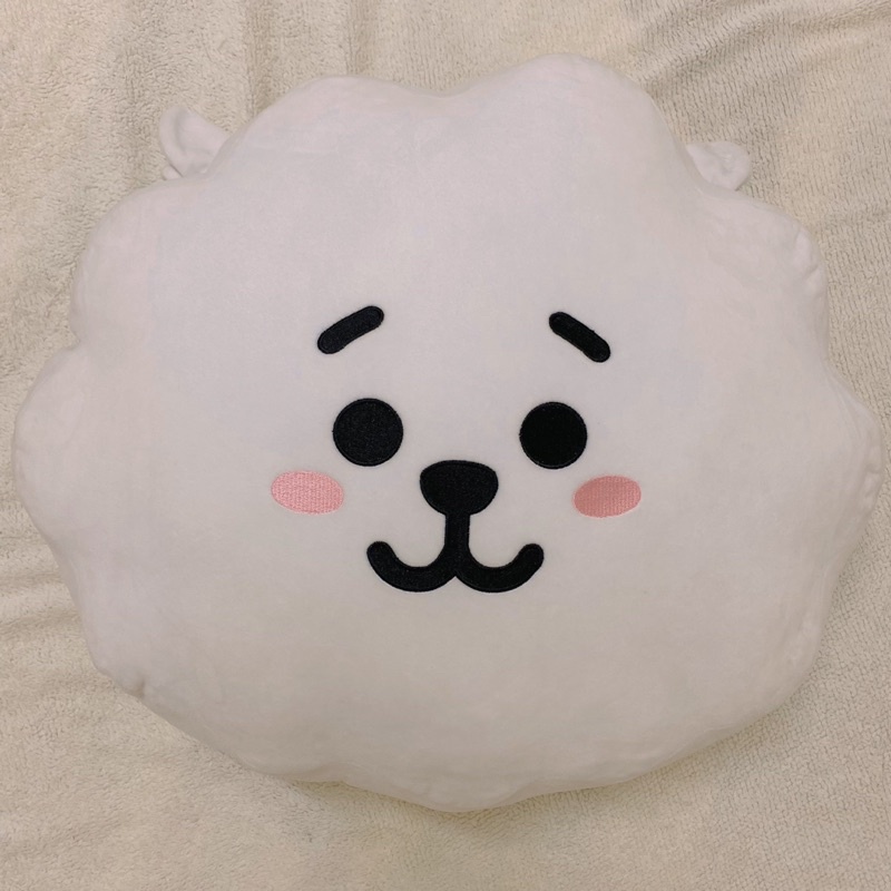 正版 BT21 RJ 42公分 抱枕