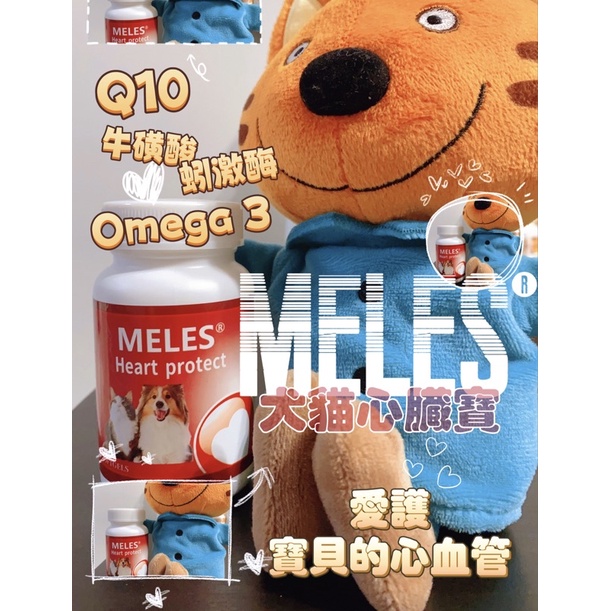 Meles 心臟寶 貓狗 犬貓 寵物 動物 心寶 心臟保護 Q10 牛磺酸 Omega 蚯蚓酶 蚓激酶 紅蚯蚓 葉黃素