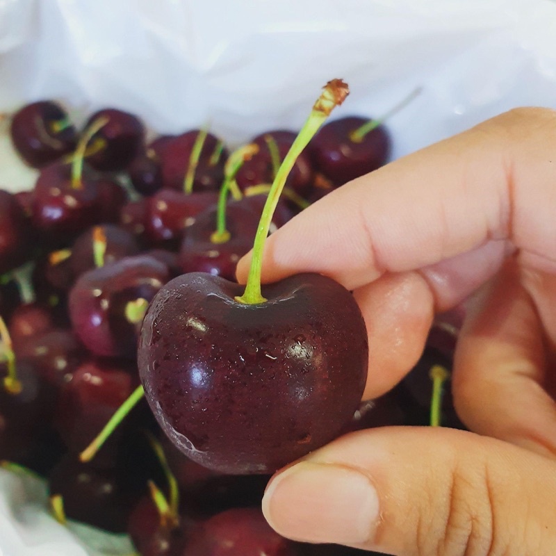 🇺🇸✈️美國南美洲空運來台-智利櫻桃🍒冷藏宅配禮盒裝👉超脆超好吃