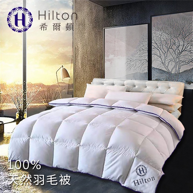 【Hilton希爾頓】五星級抗菌除臭頂級100%天然水鳥羽毛被2.5KG(B0831-25)/棉被//被子被胎/冬被