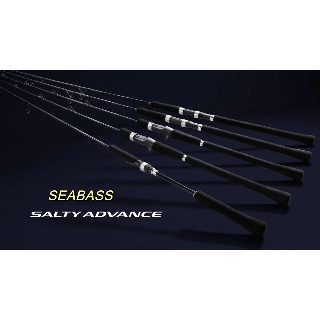 💢桃園東區釣具【SHIMANO 19 SALTY ADVANCE SEABASS 海鱸竿】