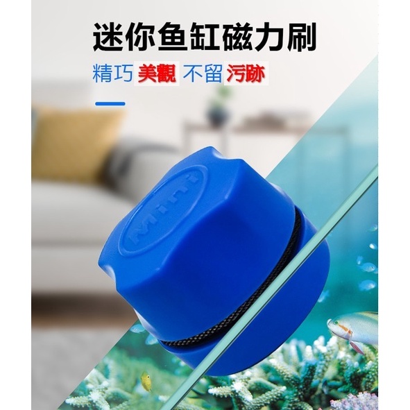 🔥台灣現貨🔥 【 mini魚缸磁力刷】 魚缸清潔  魚缸磁刷  迷你磁力刷