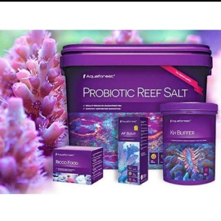 【艾莉絲水族】免運費 AF 益生菌鹽 22公斤 Probiotic Reef Salt 海水素