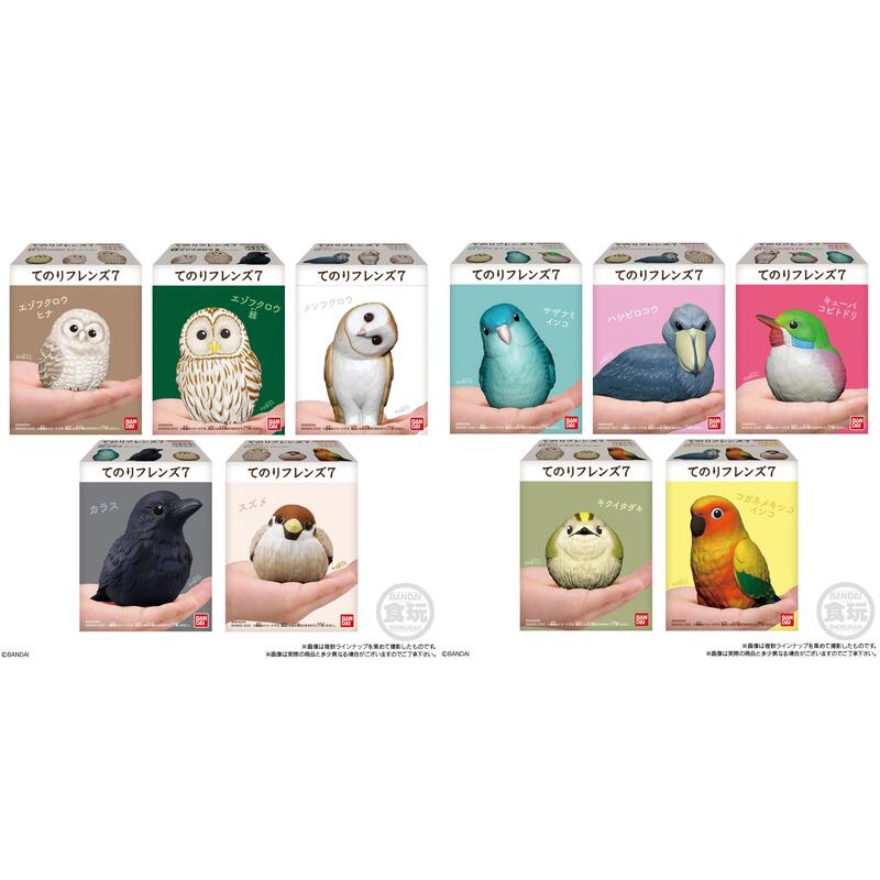 【貓轉角】『現貨單售區』 BANDAI 盒玩 掌上好朋友7  好朋友 掌上動物 貓頭鷹 烏鴉 麻雀 鵜鶘 掌中好朋友