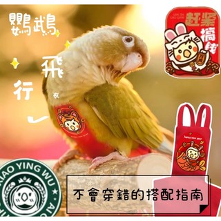 訂製❤️鸚鵡尿布衣鸚鵡飛行衣和尚尿布玄鳳尿布凱克尿布