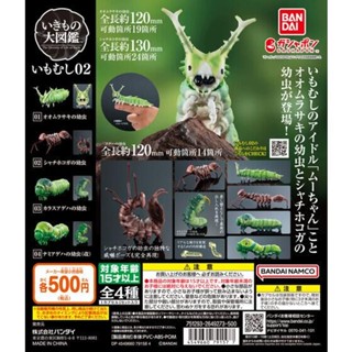 🔥現貨 芋蟲 毛毛蟲 P2 昆蟲 生物大圖鑑 扭蛋 公仔 可動 環保扭蛋