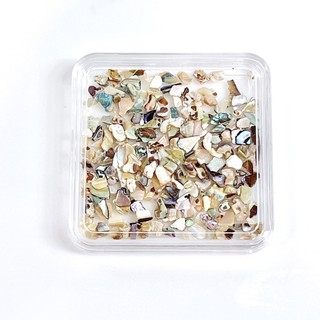 渤海灣貝殼碎 鮑魚貝 鮑魚碎片 藍鮑魚 閃亮 藍貝殼 貝母 螺鈿 黃貝殼碎 美甲 飾品使用