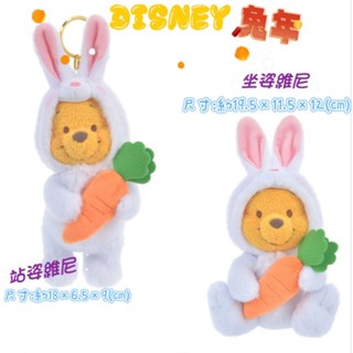 [日貨噗噗購](正版現貨) 🇯🇵日本東京迪士尼 2023兔年維尼娃娃 絨毛娃娃 娃娃吊飾