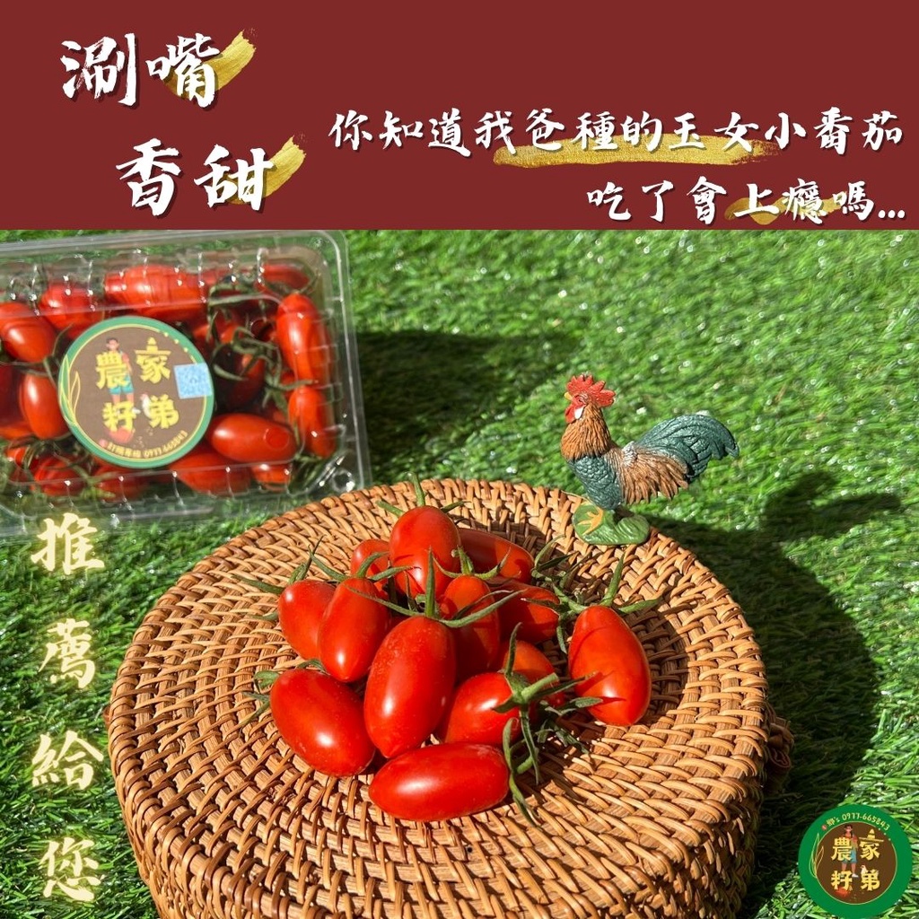 #今年售完【吃過就回不去】🍅玉女小蕃茄禮盒組（3盒起）