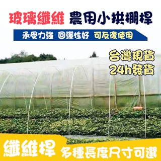 💎園藝💎纖維桿💎臺灣出貨 小拱棚支架桿 拱棚骨架 農用 溫室棚架 玻璃縴維桿 棚架 玻璃纖維支撐桿 防蟲網 代發票