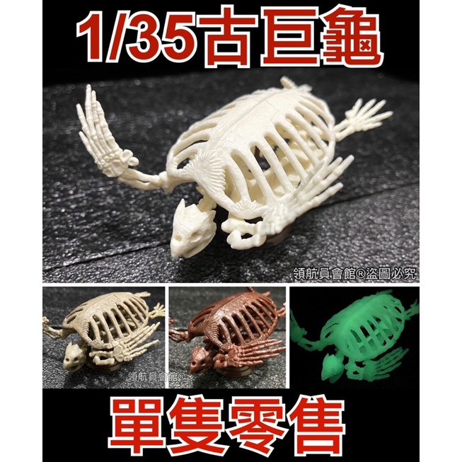 【領航員會館】單售 日本SO-TA 1/35博物模型俱樂部 貳-古巨龜篇 扭蛋 轉蛋 恐龍 骨頭 標本 骨骼骷髏頭 烏龜