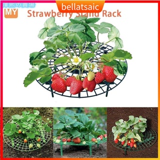 Strawberry Stand Frame Holder Round Fruit Support Balcony Pl