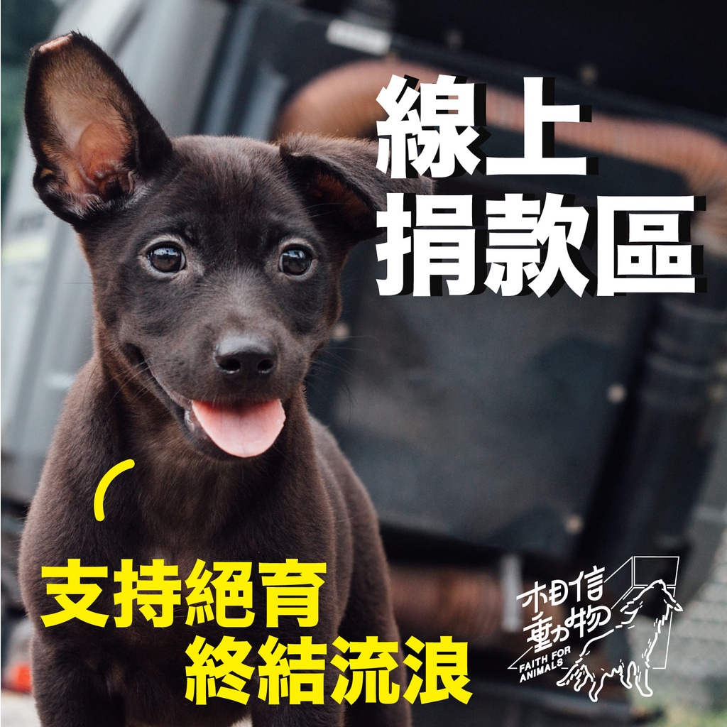 愛心捐款｜支持絕育終結流浪 #社團法人台灣懷生相信動物協會