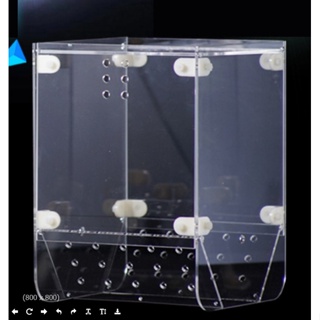 第三代捕魚神器 捕魚盒 捕魚隔離盒 魚缸隔離盒 誘捕盒 抓魚盒 壓克力隔離盒