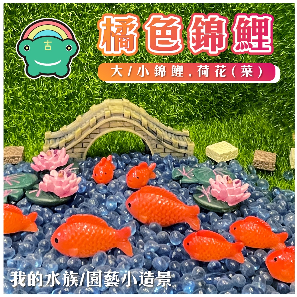 小魚造景 (大/小)橘色鯉魚 荷花荷葉 錦鯉 紅魚 迷你魚 園藝造景 微景觀 水族 魚缸 造景及桌上擺飾 多肉 微景觀