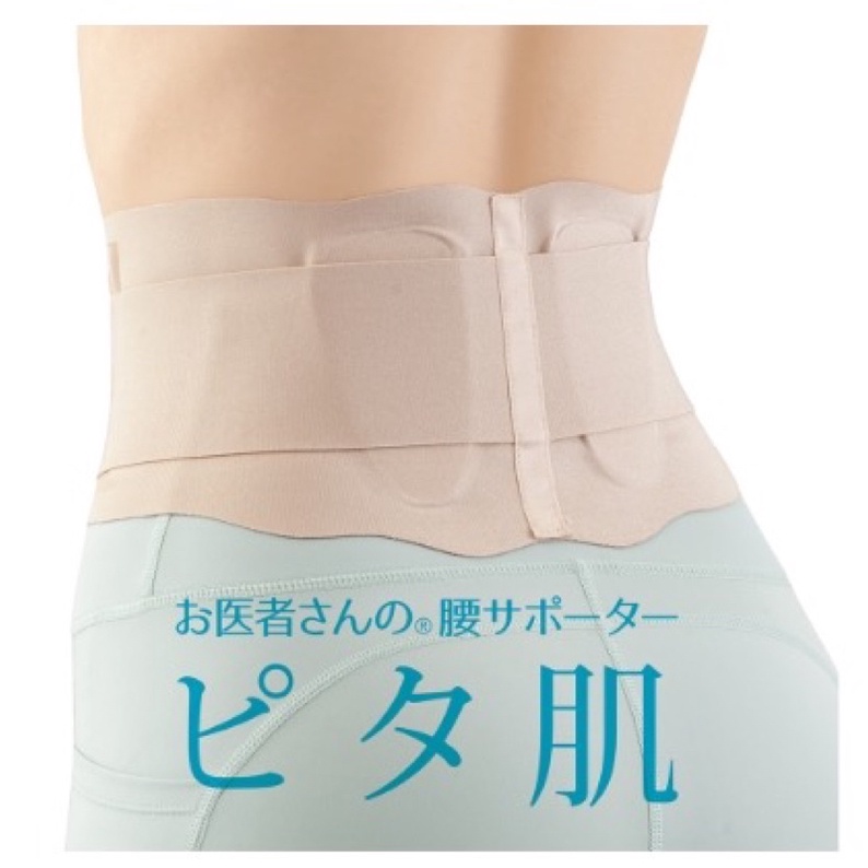 現貨 日本製 alphax お医者 薄款 護腰帶 腰部支撐器 背筋袋 背部