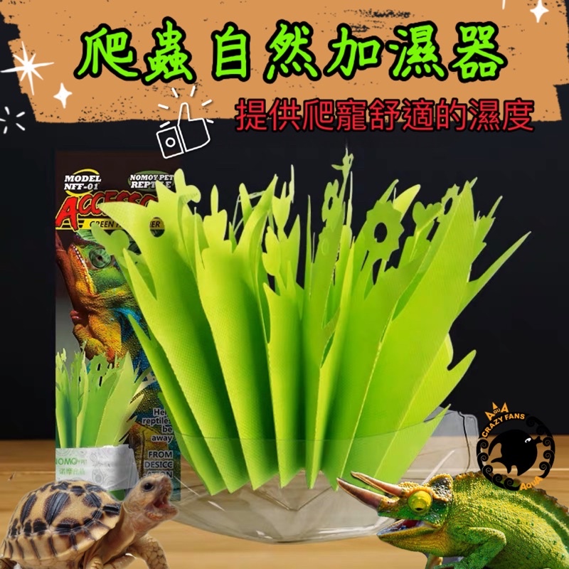 【水族狂粉】水族最便宜🔥綠色加濕草 香薰加濕器 加溼器 爬蟲 兩棲 陸龜 水龜 守宮 蜥蜴 蛇 爬蟲加溼器加濕草陸龜加溼