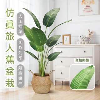 森沐 仿真植物 旅人蕉 芭蕉樹 芭蕉葉 珍珠葵 盆栽 模擬盆栽 居家裝飾 室內 室外 植栽 民宿裝飾 塑膠植物 假樹 樹