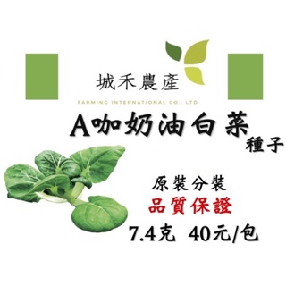 城禾農產🍃 矮腳奶油白菜 7.4克 約2900粒 奶油白菜 矮腳奶油白菜種子 奶油白菜種子 白菜種子 牛奶白菜種子