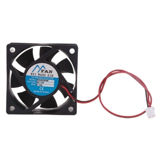 Blg 60x60x20mm 適用於 DC 5V 12V 2-Pin Cooler 無刷晶片組散熱器迷你冷卻風扇 602