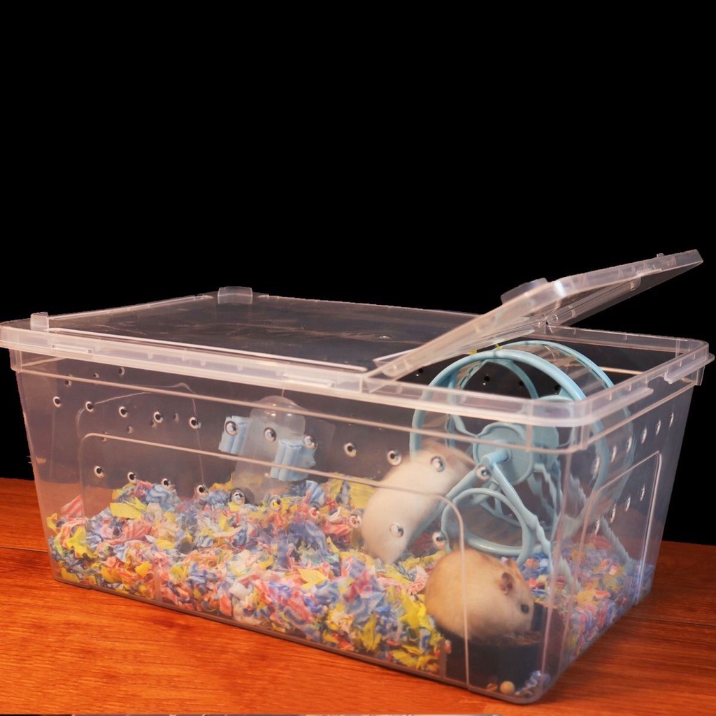 倉鼠天竺鼠西班牙睡鼠飼養盒透明倉鼠金絲熊小窩用品花枝鼠養殖箱睡鼠外帶籠