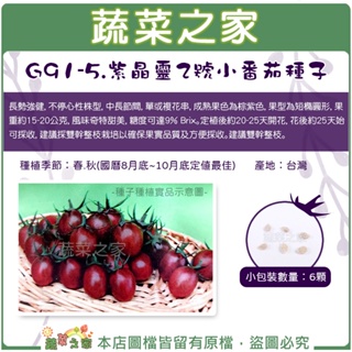 【蔬菜之家滿額免運】G91-5.紫晶靈 2號小番茄種子6顆｜番茄 種子 水果 園藝 種植 營養 蕃茄 小蕃茄
