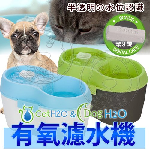 📣盡速出貨🚀Dog&amp;Cat H2O》犬貓用有氧濾水機飲水機飲水器-2L/4L 小型犬貓/大型犬