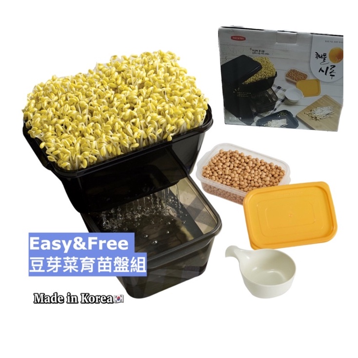 🚀實拍❗️韓國🇰🇷 Easy&amp;Free 種植豆芽菜育苗盤組 親子互動 育苗盆 種豆芽菜 育苗器具