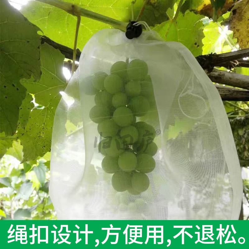 葡萄套袋防鳥防蟲專用袋樓頂庭院葡萄袋子透光透氣尼龍網袋繩扣款| 蝦皮購物 全透明微孔フィルム袋 ブドウ日光カバー袋 果物野菜ラップ袋 ブドウラップ袋 鳥や蚊の侵入を防ぐ 25*35mm 200枚 袋