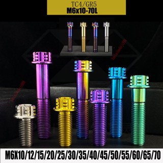 Tc4/gr5 M6x10MM-70L 鈦合金法蘭頭 Torx 螺絲螺栓 M6 摩托車鈦合金螺絲