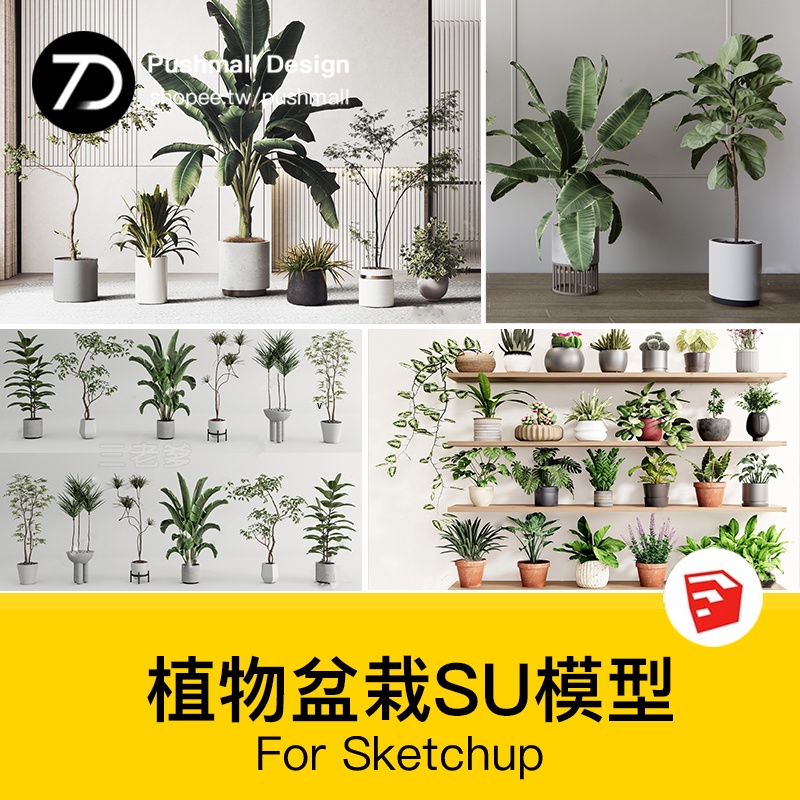 [SU模型] 綠植植物花盆盆栽盆景松樹單體草圖大師SU模型室內花卉花草素材庫