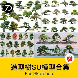 非實物sketchup模型｜ 中式庭院花園修剪造型樹SU模型素材觀賞松樹盆景景觀植物