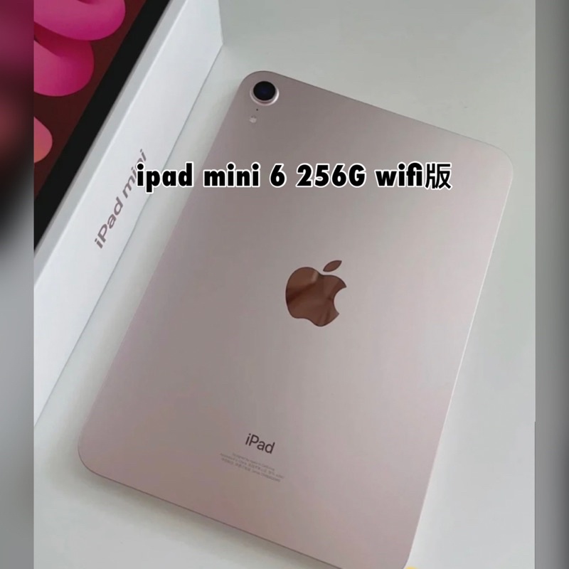 ipad mini 6 wifi 256g 二手 附$4900兩年平板保險 保護皮套支架 玻璃貼 9.9成新 使用半個月