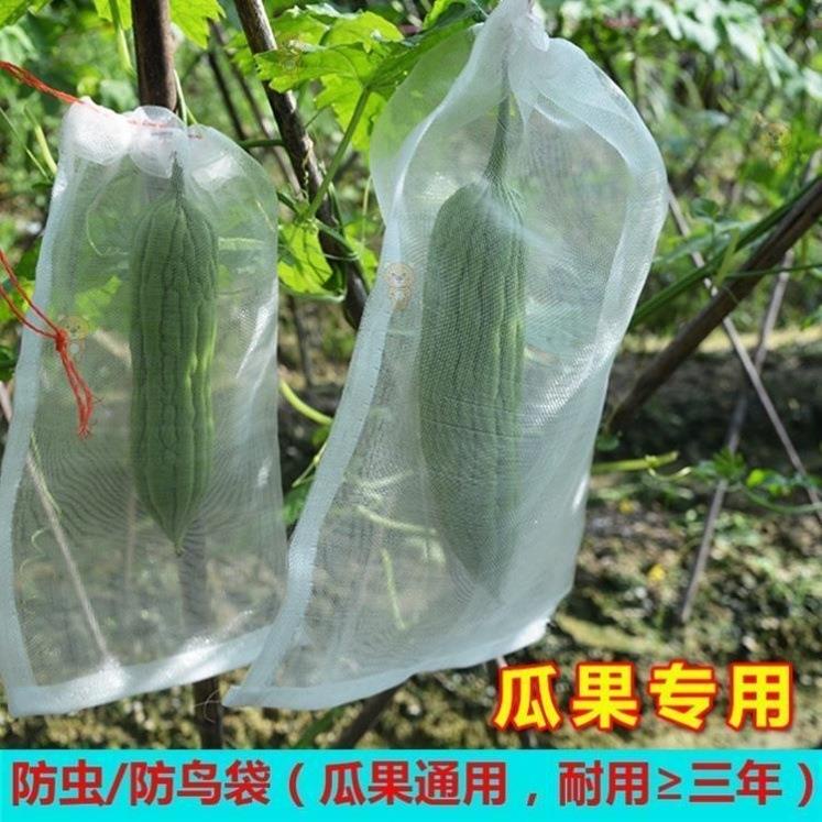 苦瓜套瓜網袋防果蠅瓜果套袋包絲瓜黃瓜包裝袋子蔬菜防蟲紗網防鳥