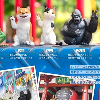 【BTF】 現貨日本奇譚扭蛋 比耶的動物們 拍照 模型 可愛擺件 裝飾 JFRI