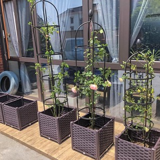 熱賣！陽臺種菜深花盆樓頂專用葡萄薔薇月季花箱花槽大號果樹盆50種植箱