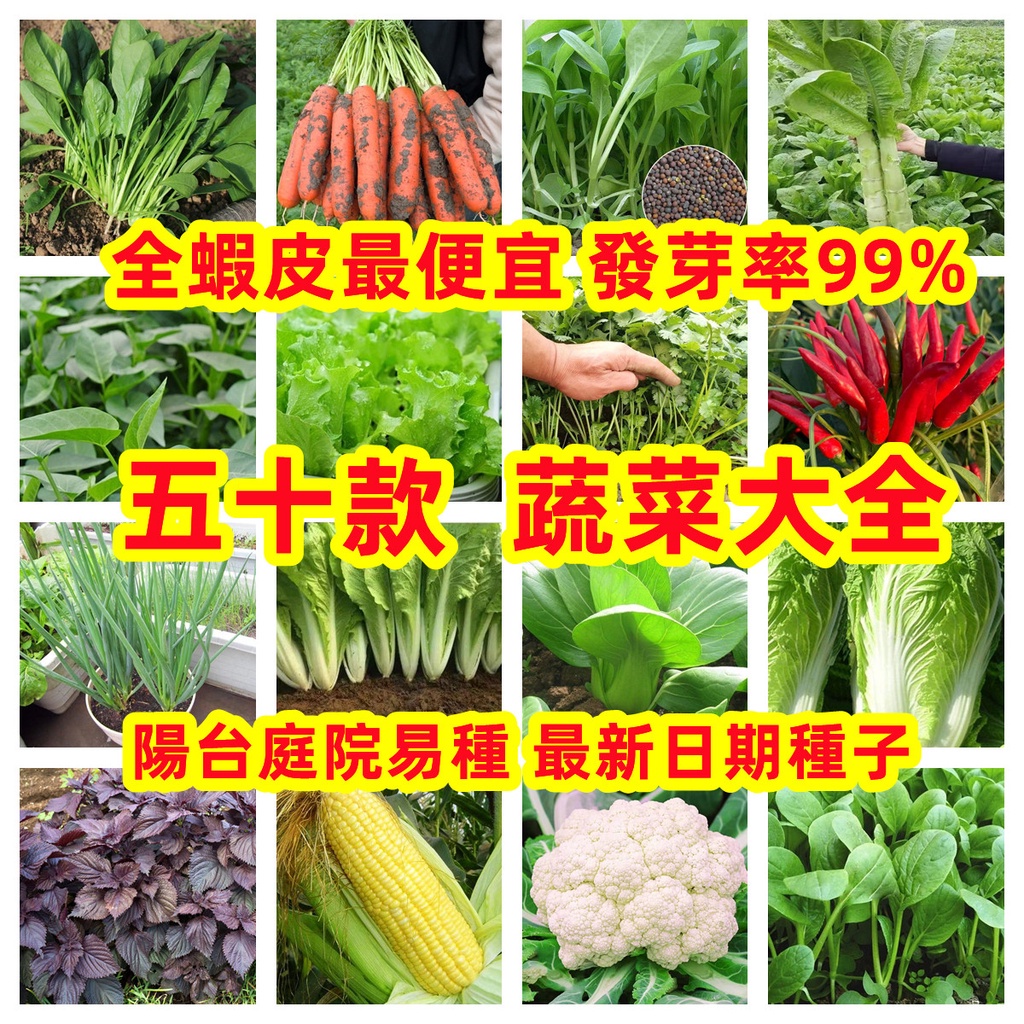 包發芽🍓超低價 多款菜種籽大全 蔬菜種孑 多款蔬菜種子 生菜 空心菜 上海青 四季小白菜 超低價 超高發芽率90%