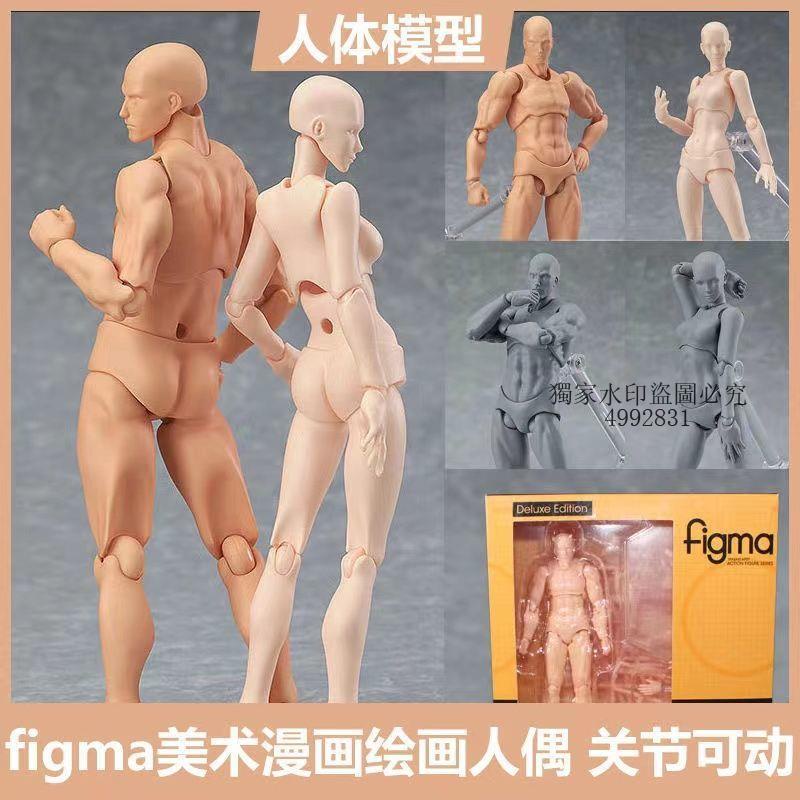 123木頭人 figma素體美術人體模型玩具日本人偶關節可動成人繪畫肌肉shf素體