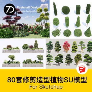 非實物sketchup模型｜ 棒棒糖多頭造型植物樹木組合修剪女貞灌木球形綠籬庭院su模型素材