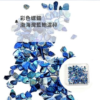 美甲 飾品 鮑魚片 貝殼片 渤海灣貝殼片