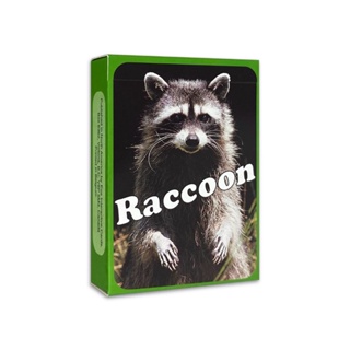 浣熊卡 RACCOON Cards｜德國OH卡，投射卡，關於浣熊生活的圖片卡片【左西】