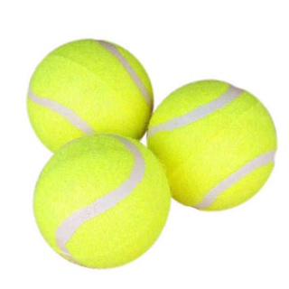 彈力網球 網球 寵物玩具 寵物