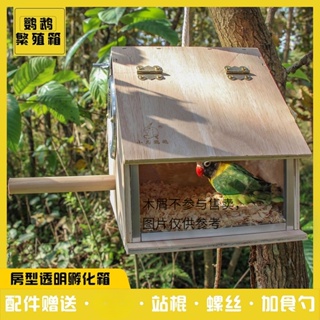 BX PET 鸚鵡繁殖箱 房型透明 玄鳳虎皮牡丹用鳥類用品 鳥窩 鳥巢箱 #7