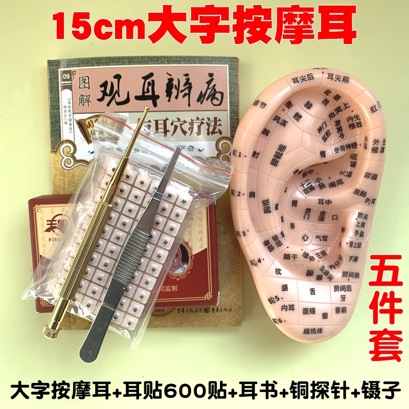 【單品合集】10.5cm/15cm /19cm豐帆王不留行耳貼耳穴貼探針壓豆多穴位按摩耳朵模型反射區探穴筆行籽